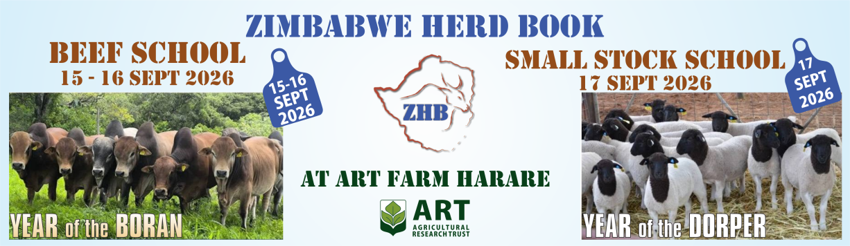 ZHB-Beef School-2026-web-banner